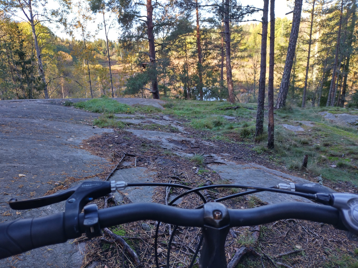 /img/biking/park-view.jpg